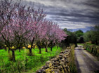 imagen decorativa