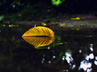 imagen decorativa